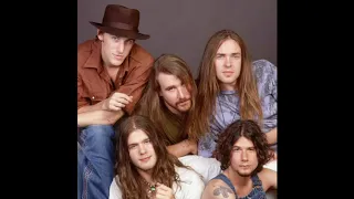 Blind Melon - No Rain (HD Drumless Version)