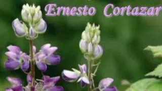 ♥♫ Thanks to life - ERNESTO CORTAZAR♥♫relaxing, soothing piano music)♥♫