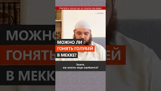 Можно ли гонять голубей в Мекке? || Абу Умар Ас-Сыям