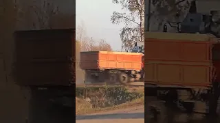 Пошла колонна🛻🚛🚜 #уборочная #соя #shortvideo