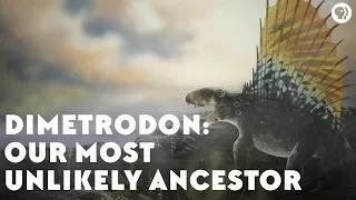 Dimetrodon: Our Most Unlikely Ancestor