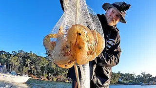 Prawning IN WINTER?!? These late season prawns are HUGE! (catch & cook)