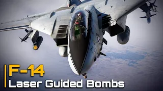 F-14 Tomcat Laser Guided Bombs Tutorial with Jester AI [DCS World]