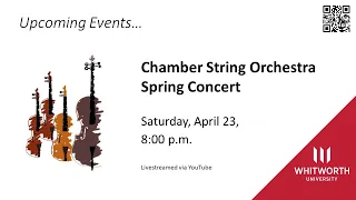 Chamber String Orchestra Concert