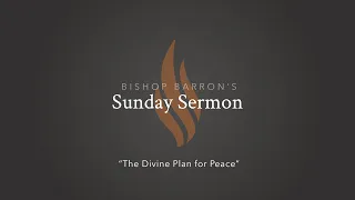 The Divine Plan for Peace — Bishop Barron’s Sunday Sermon