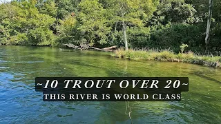 10 trout between 20 and 25 inches - an incredible fly fishing trip!