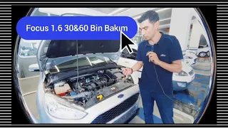 Ford Focus 1.6 Benzinli 30&60 Bin KM Bakımı - Hangi Parçalar Değişmeli?