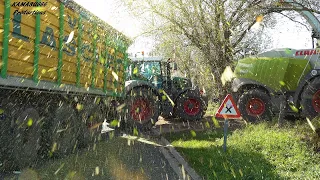 Mais 2019 : TB  Agri / Vital Laschet / Claas Jaguar 960 / Fendt 936 / 4K / Maisernte / Maize harvest