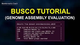 BUSCO Linux Install and Usage for Genome assembly evaluation | episode 1