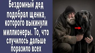 Нищий дед подобрал щенка, которого выкинули миллионеры. То, что произошло дальше поразило всех