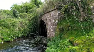 Nature in Ireland (Природа Ирландии)