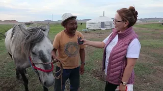 Монгол орноор "Миний аялсан 1000 хот" Увс аймаг Тэс