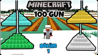 MİNECRAFT 100 GÜN AMA 4 FENER YAPMAMIZ LAZIM...