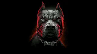 [FREE] Fredo Bang x Louisiana type beat - "Dog"