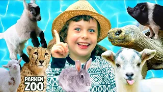 Melody besöker Parken Zoo Del 2 | Bästa till sista