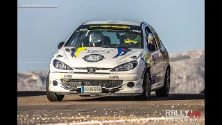 Rally Alto Asón 2022 / TC8 Soba - Espinosa / Pablo Fuente - David Berbil / Peugeot 206