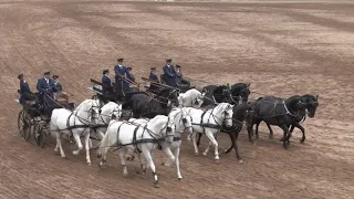 Čtyřspřeží starokladrubských koní