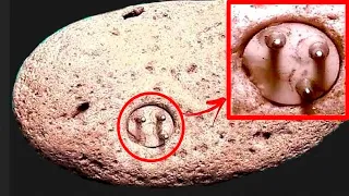 Un componente elettrico è stato scoperto in una roccia di 100.000 anni fa!