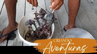 Aprenda a preparar caranguejo com Odair Torres