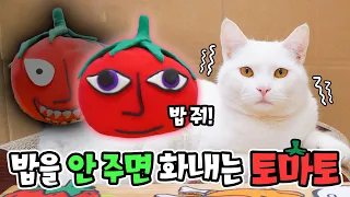 '그 토마토'도 화나게 해선 안 돼..! | 고양이산책