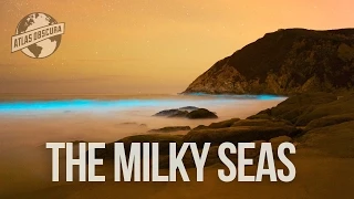 The Milky Seas | 100 Wonders | Atlas Obscura