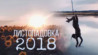 Листопадовка 2018🖤