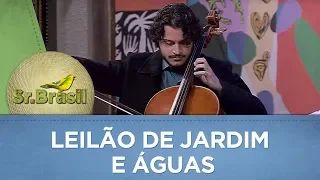 Leilão de Jardim e Águas | Luiz Salgado e Toni Batera