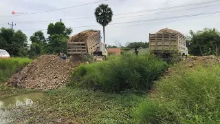 Wonderful show! Incredible! Great Team work! Dump Truck Techniques Operator​ Great! By Dozer KOMATSU