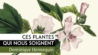 Ces plantes qui nous soignent - Documentaire de Dominique Hennequin (2014)