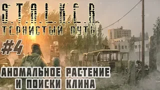 ✅ Поиски Клина и Аномальное растение STALKER Тернистый Путь (Thorny Way) #4 #ForastPlay