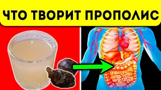 Доктор был удивлён! Что творит даже 1 ч. ложка Прополиса с организмом