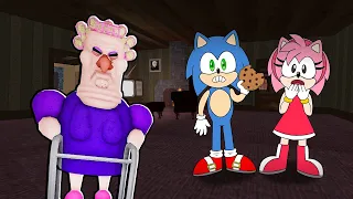 SONIC AND AMY VS ESCAPE GRUMPY GRAN ROBLOX