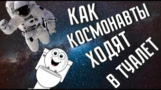 Космический туалет или как справляют нужду в невесомости