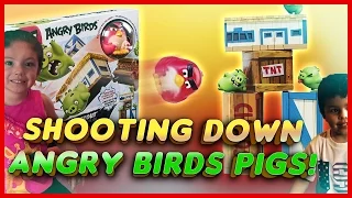 HUGE Angry Birds Vinyl Knockout Toys for kids PLAYTIME