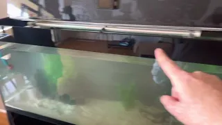 How to level an Aquael Glossy aquarium