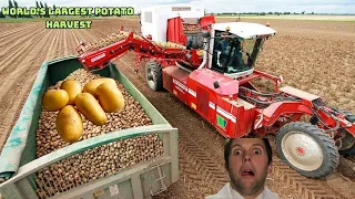 Harvesting 100 Million Tons of Potatoes | World's Largest Potato Harvest