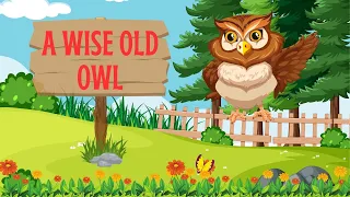 "The Wise Owl's Lesson: A Tale of Observation and Wisdom"#englishstories #kidsstories #moralstories
