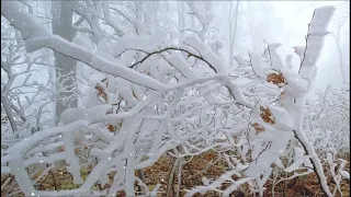 А я смотрю, как кружится снежок...