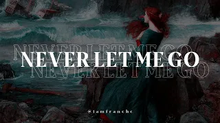 ❝never let me go❞ florence and the machine | traducida al español + lyrics