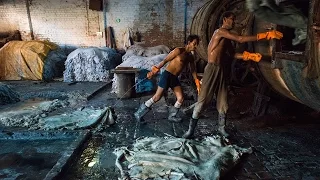 Inside an Indian Tannery | The Ganges