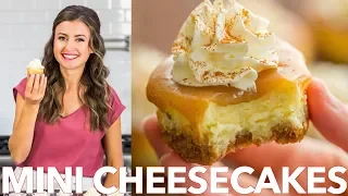 Easy Mini Cheesecakes With Caramel Sauce - Natasha's Kitchen