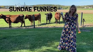 Comedy For Cows by Sundae