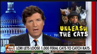 FULL Tucker Carlson Tonight 11/24/22 HD | FOX BREAKING NEWS TRUMP November 24, 2022