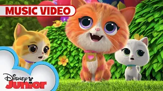 I Love Kittydale 🎶 | SuperKitties | Music Video |  | @disneyjunior