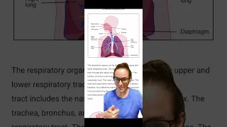 HESI A2 Anatomy and physiology review | ￼ respiratory system #hesia2 #hesi #prenursing #anatomy