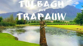 Wines of South Africa | Ep. 5 |  Tulbagh and Tradauw Valley | Saronsberg wine | Joubert Tradauw wine