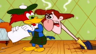 Woody Tries His Best | Woody Woodpecker