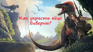 КАК УКРАСТЬ ЯЙЦО ВИВЕРНЫ? ► ARK: SURVIVAL EVOLVED