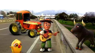 El pollito y el Tractor de la Granja "Escapando del Toro y del Pollito en vivo"