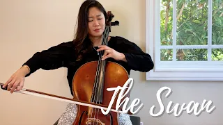 Saint-Saëns: The Swan (Cello and Piano) - Jennifer Park
